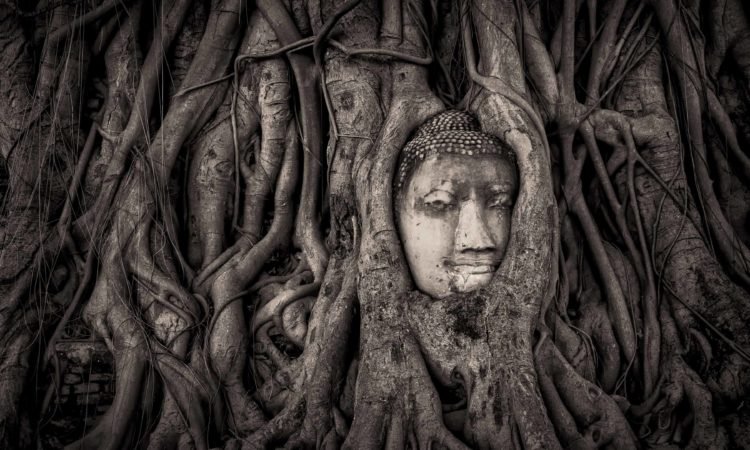 buddha_askmysuru