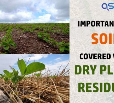 soil_askmysuru