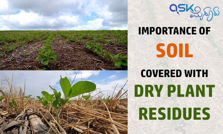 soil_askmysuru